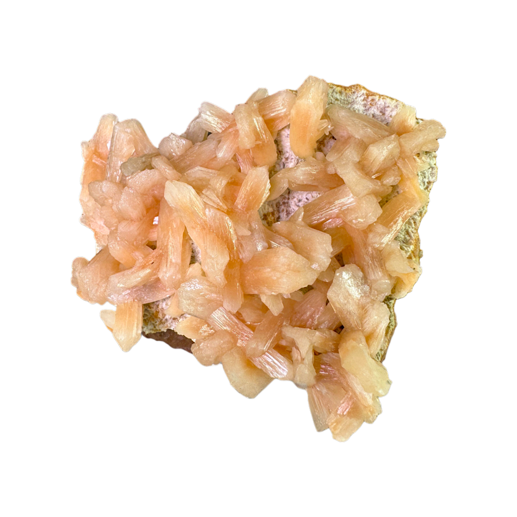 Petal Stilbite with Mordenite