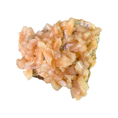 Petal Stilbite with Mordenite