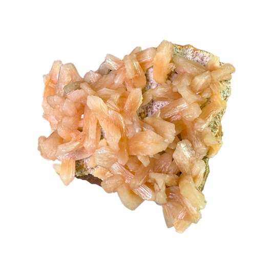 Petal Stilbite with Mordenite