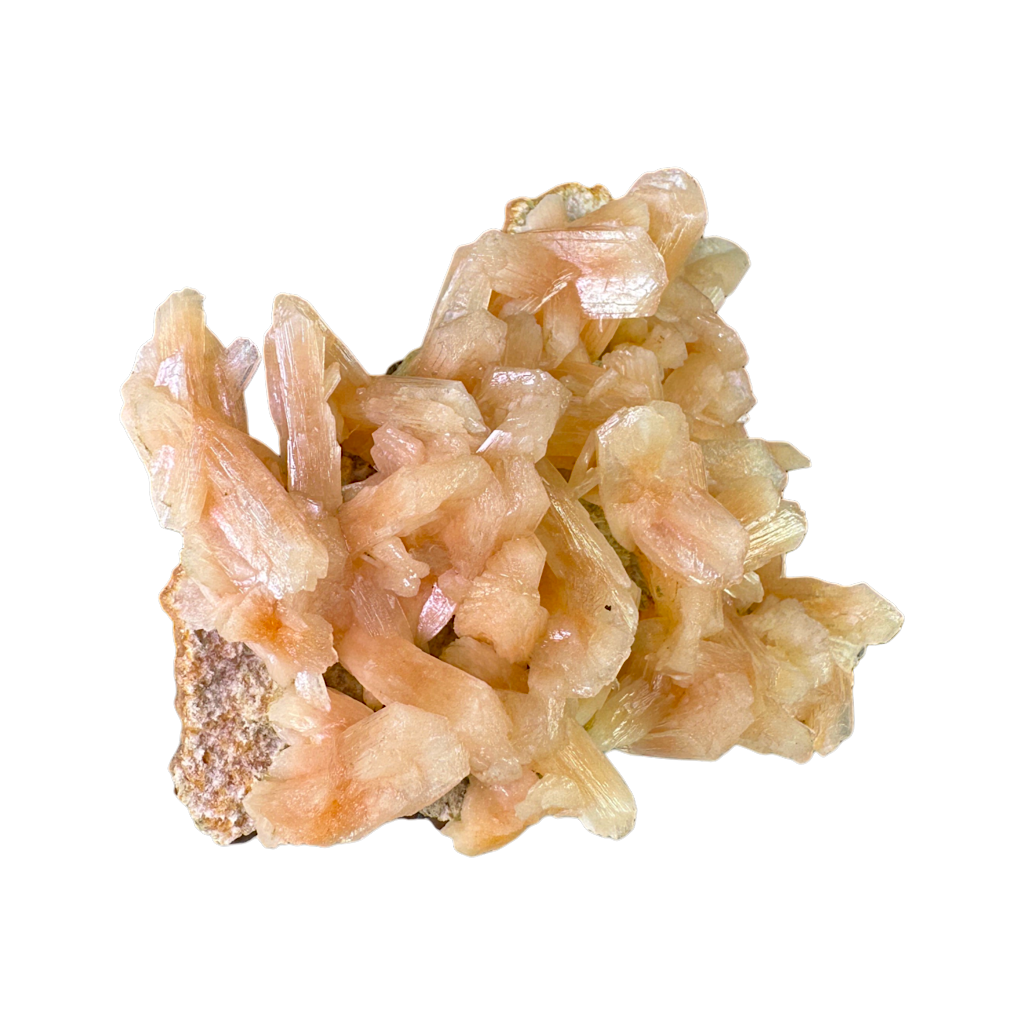 Petal Stilbite with Mordenite