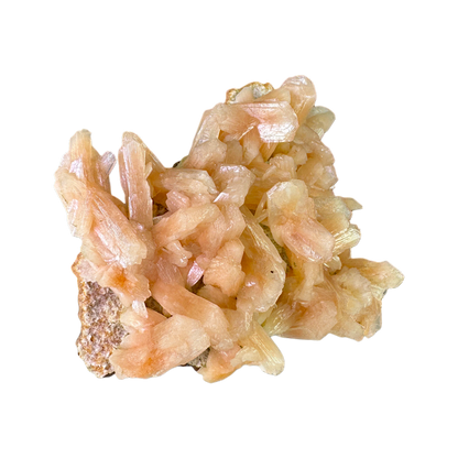 Petal Stilbite with Mordenite