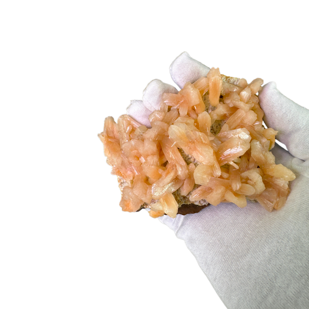 Petal Stilbite with Mordenite