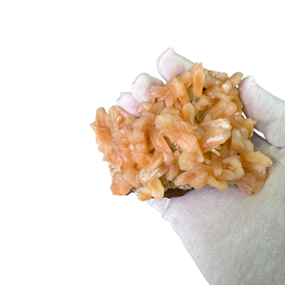Petal Stilbite with Mordenite