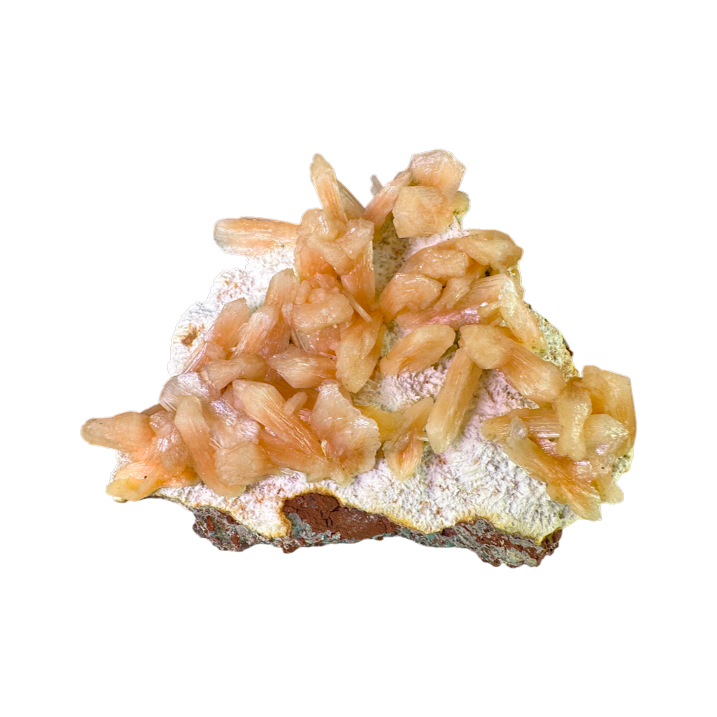 Petal Stilbite with Mordenite