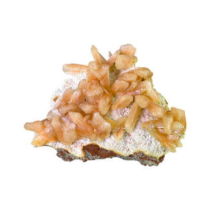 Petal Stilbite with Mordenite