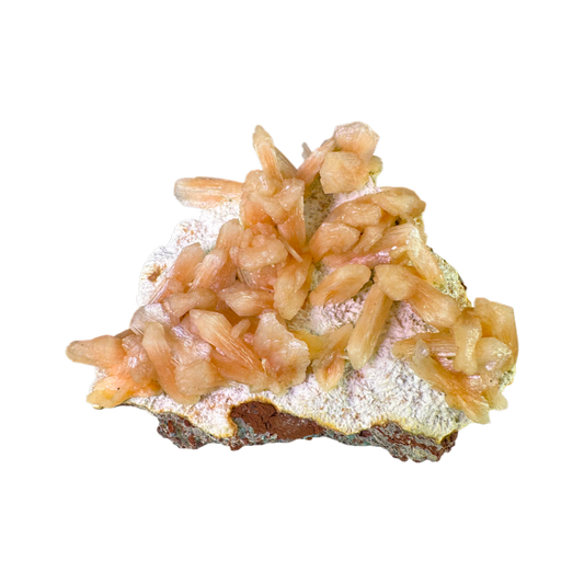 Petal Stilbite with Mordenite