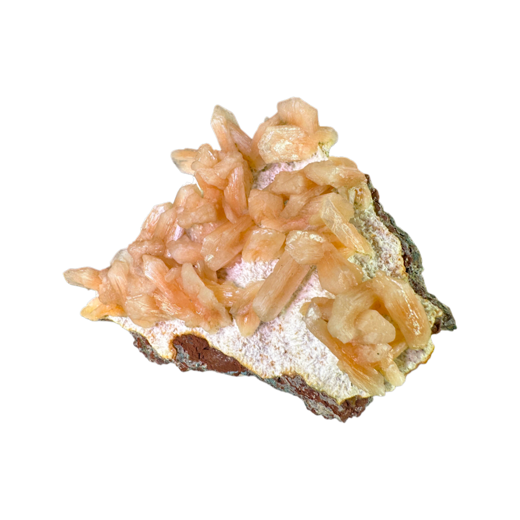 Petal Stilbite with Mordenite