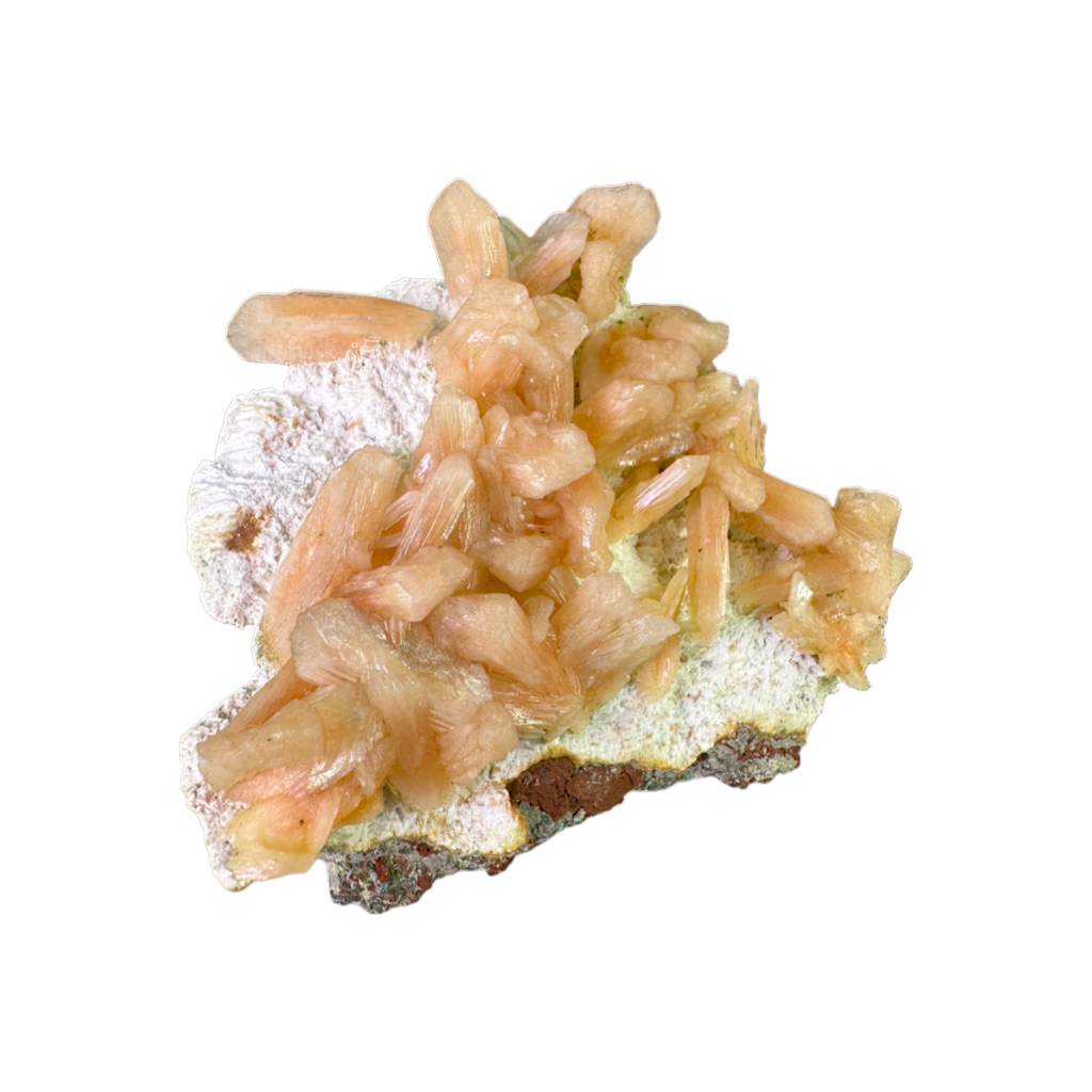 Petal Stilbite with Mordenite