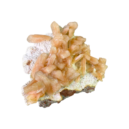 Petal Stilbite with Mordenite