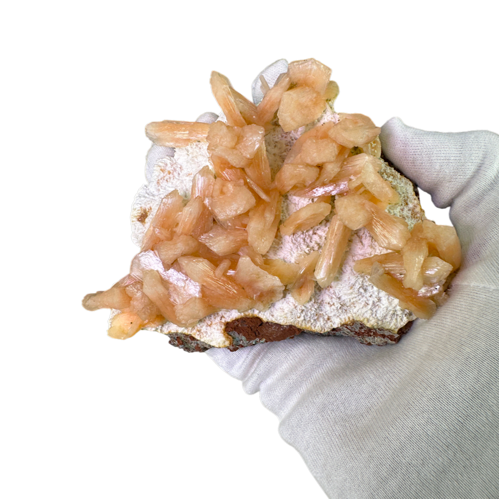 Petal Stilbite with Mordenite