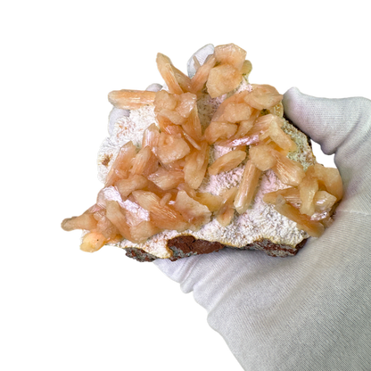 Petal Stilbite with Mordenite