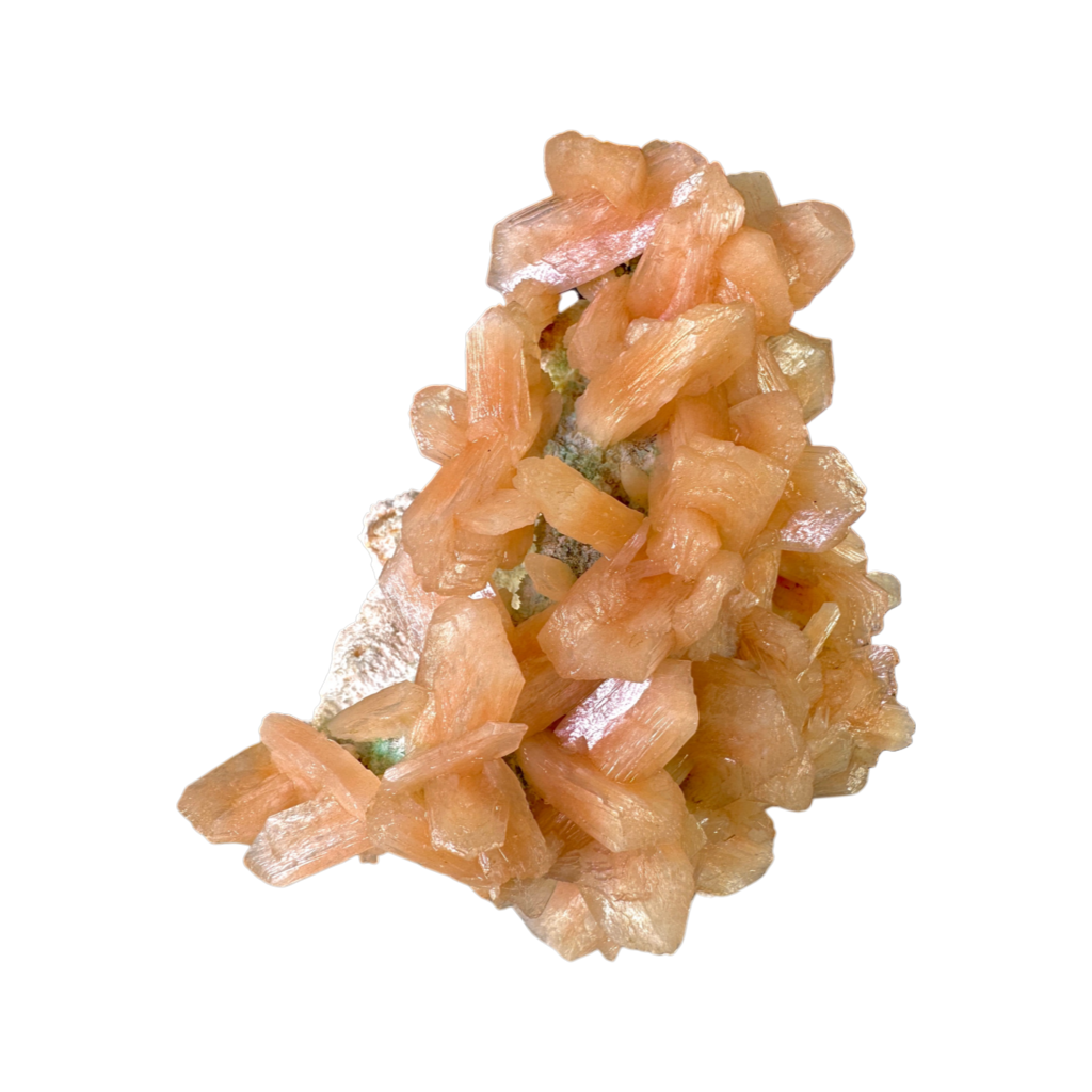 Petal Stilbite with Mordenite