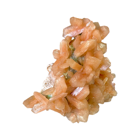 Petal Stilbite with Mordenite