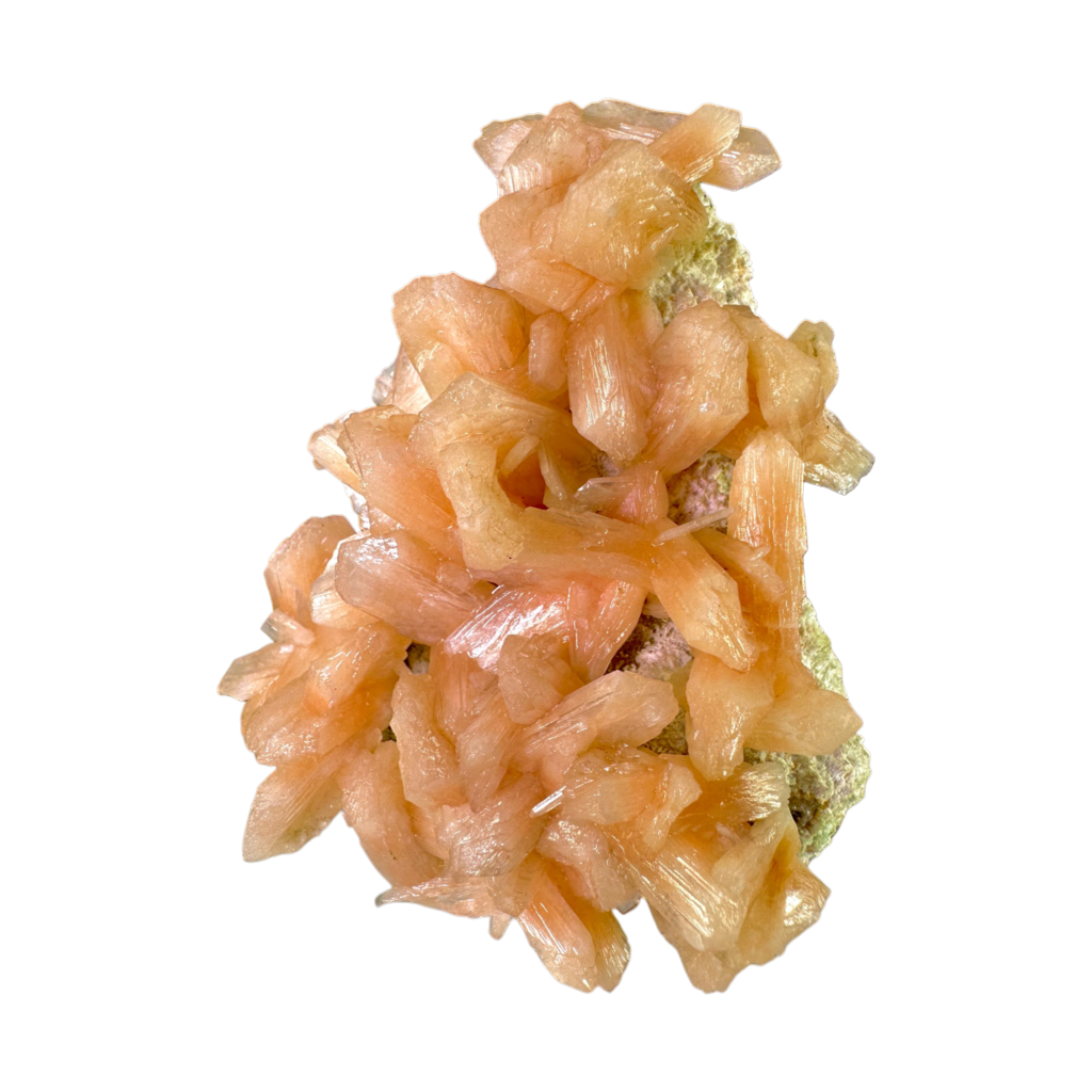 Petal Stilbite with Mordenite