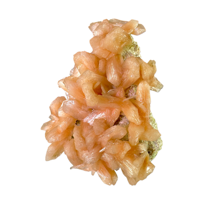 Petal Stilbite with Mordenite