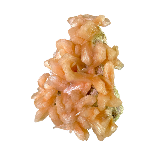 Petal Stilbite with Mordenite
