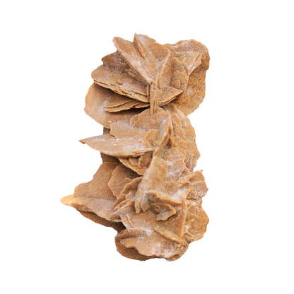 Desert Rose