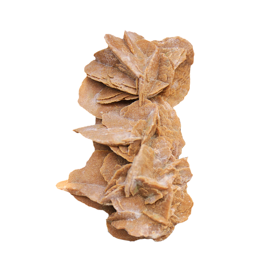 Desert Rose