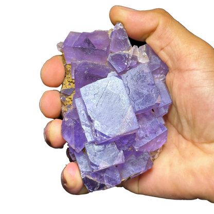 Purple Fluorite