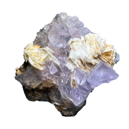 Purple Fluorite