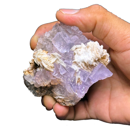Purple Fluorite