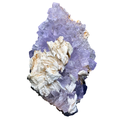Purple Fluorite