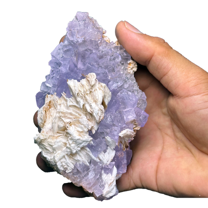 Purple Fluorite