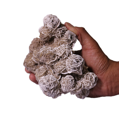 Gypsum Selenite