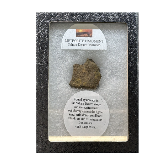 Meteorite