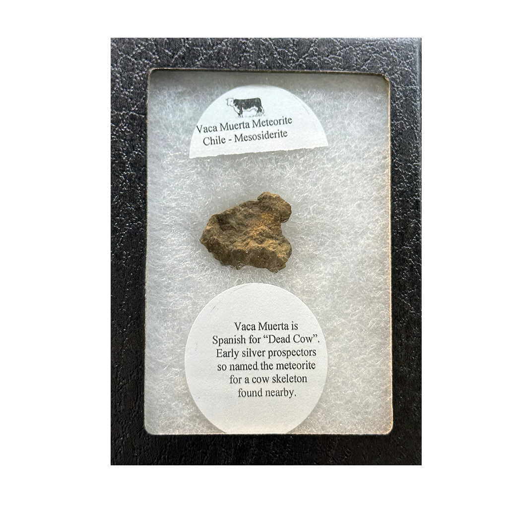 Meteorite