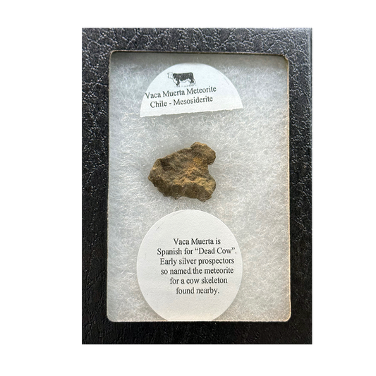 Meteorite