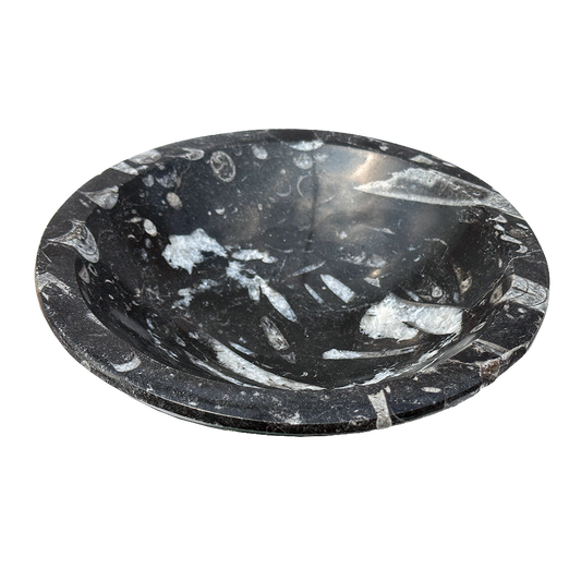 Orthoceras Bowl