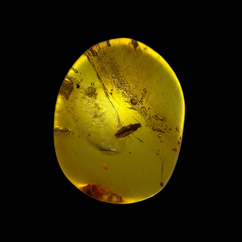 Insect in Amber