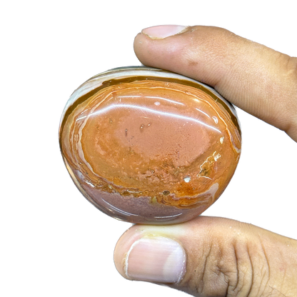 Polychrome Jasper