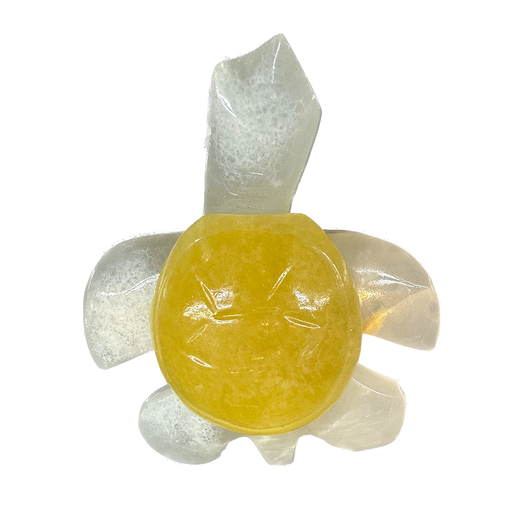 Onyx Turtle