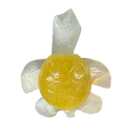 Onyx Turtle