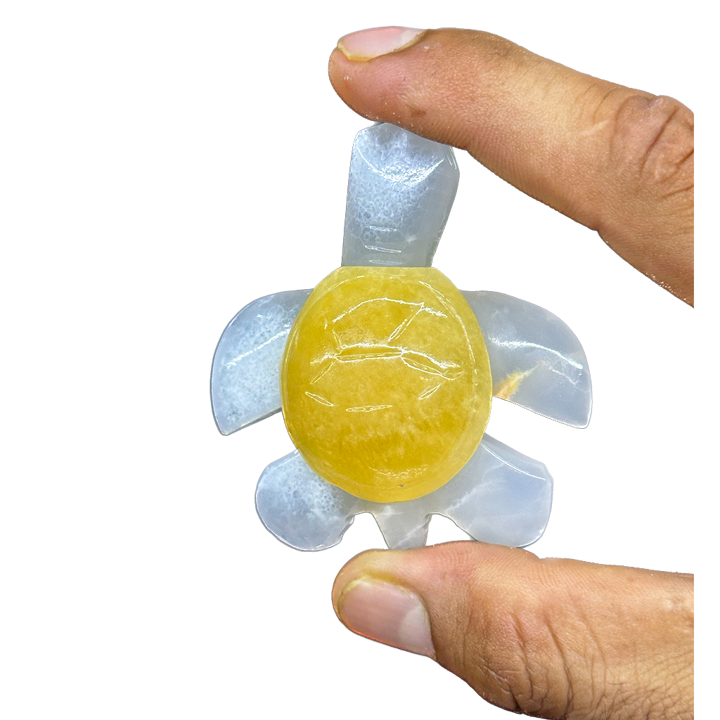 Onyx Turtle