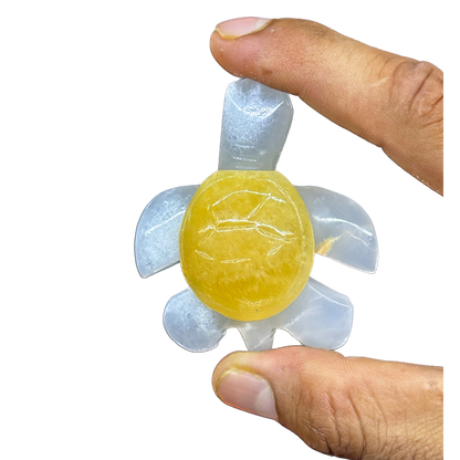 Onyx Turtle