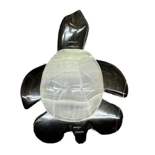 Onyx Turtle