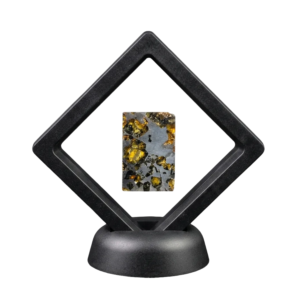 Seymchan Pallasite