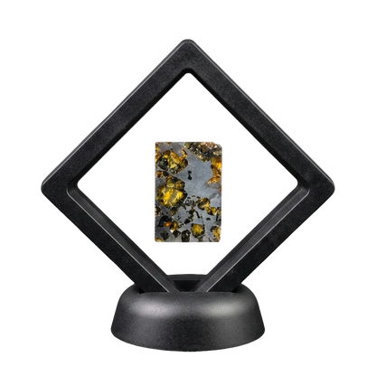 Seymchan Pallasite