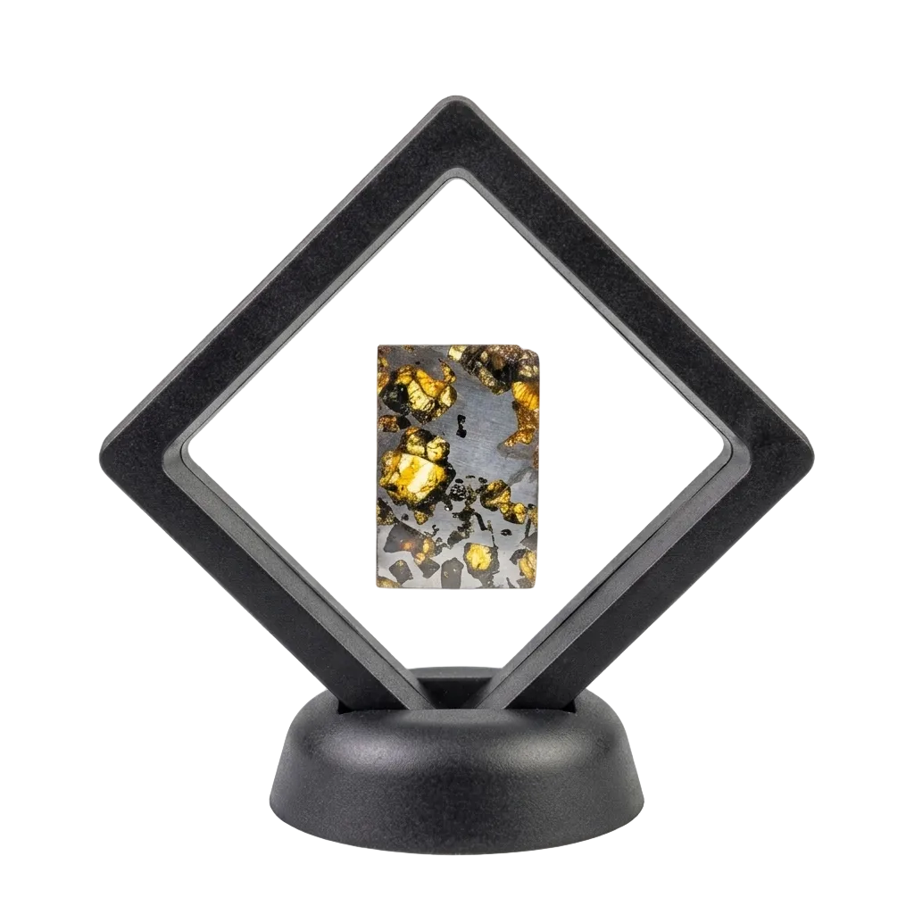 Seymchan Pallasite