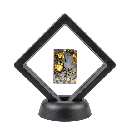 Seymchan Pallasite