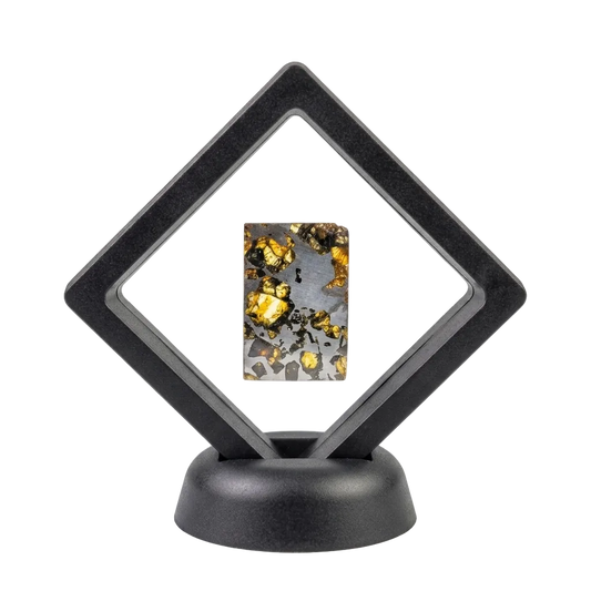 Seymchan Pallasite
