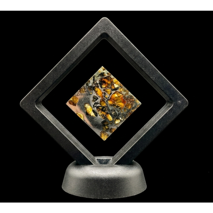 Seymchan Pallasite