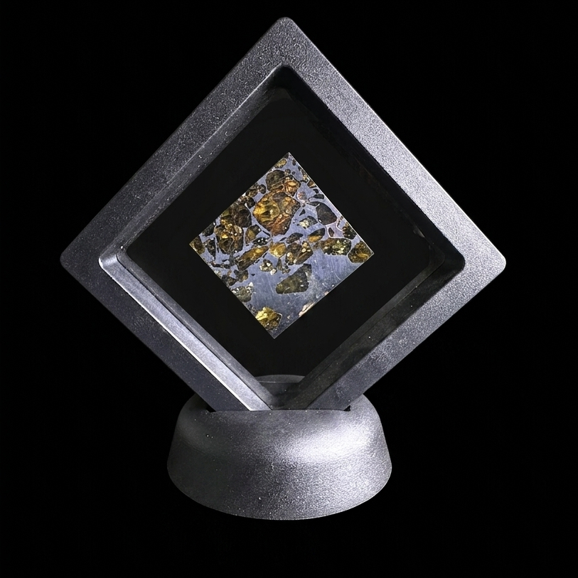 Seymchan Pallasite