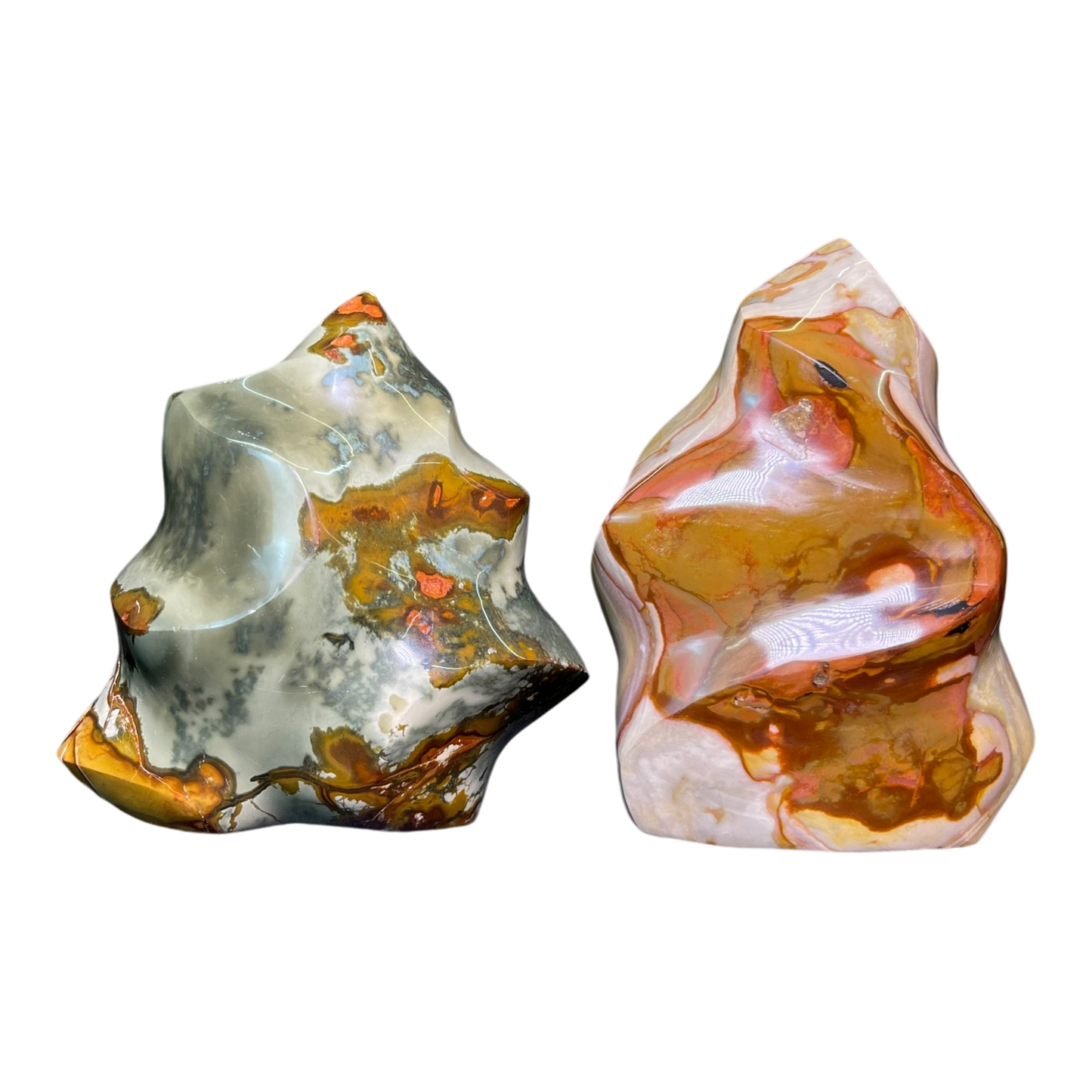 Polychrome Jasper Fame