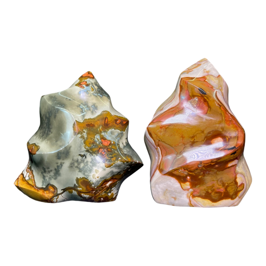 Polychrome Jasper Fame