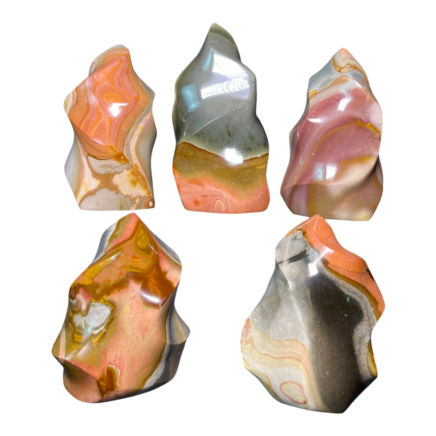 Polychrome Jasper Fame