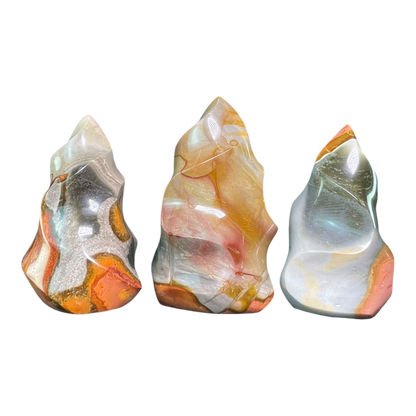 Polychrome Jasper Fame